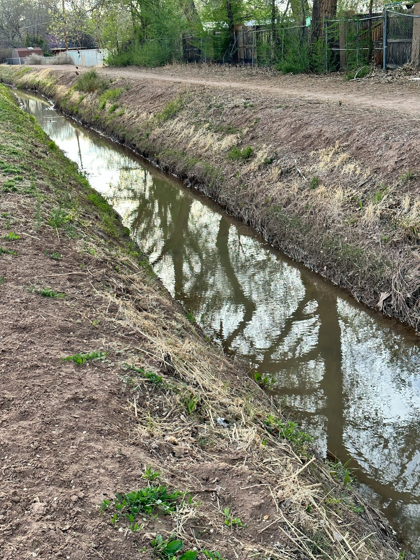 a small stream running through a field next to a dirt road