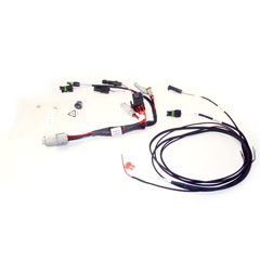 Cable Assy, GFX/CFX/FM-750/XCN/FMX/FM-1000 Power with Relay and Switch (Acc)